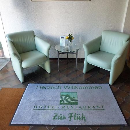 Hotel Zur Flueh バート・ゼッキンゲン エクステリア 写真