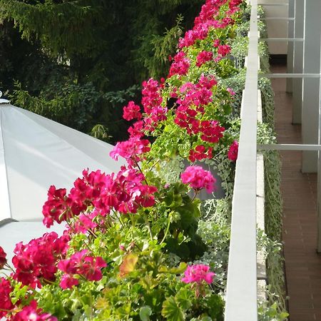 Hotel Zur Flueh バート・ゼッキンゲン エクステリア 写真