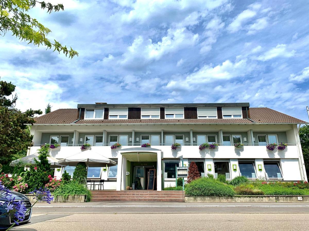 Hotel Zur Flueh バート・ゼッキンゲン エクステリア 写真