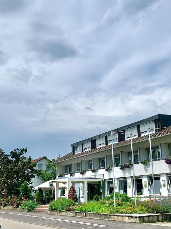 Hotel Zur Flueh バート・ゼッキンゲン エクステリア 写真